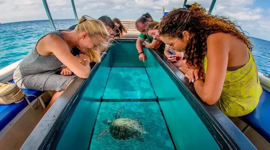 11. glass bottom boat tours