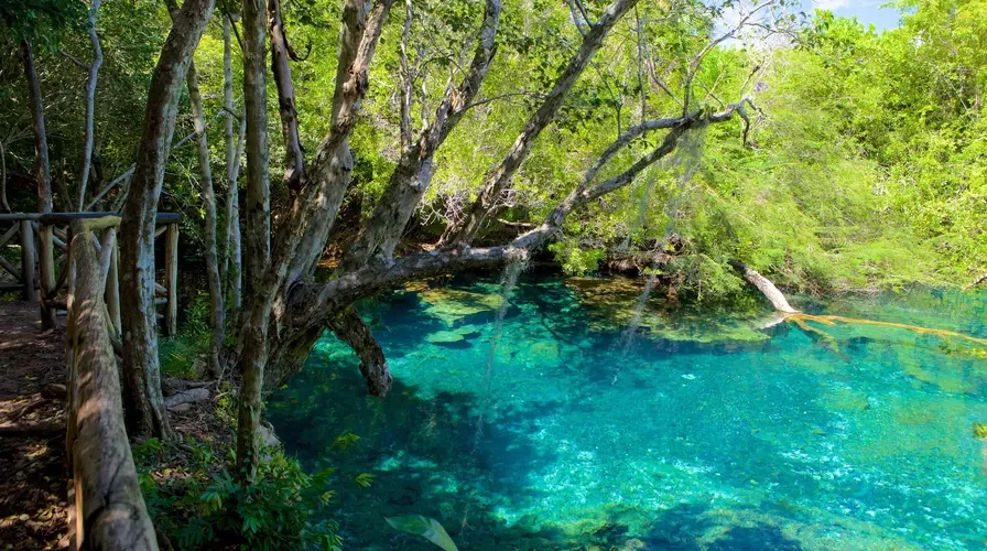7. explore indigenous eyes ecological park