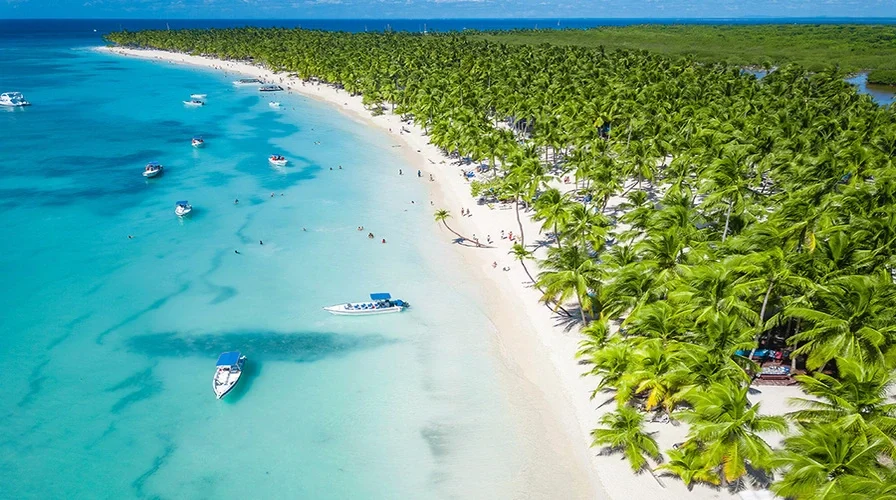 7. visit saona island and its pristine beaches top 10 unique things to do in punta cana