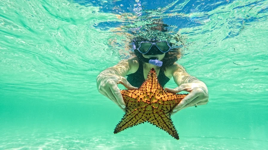 3. explore hidden coves and marine life top things to do in punta cana in august