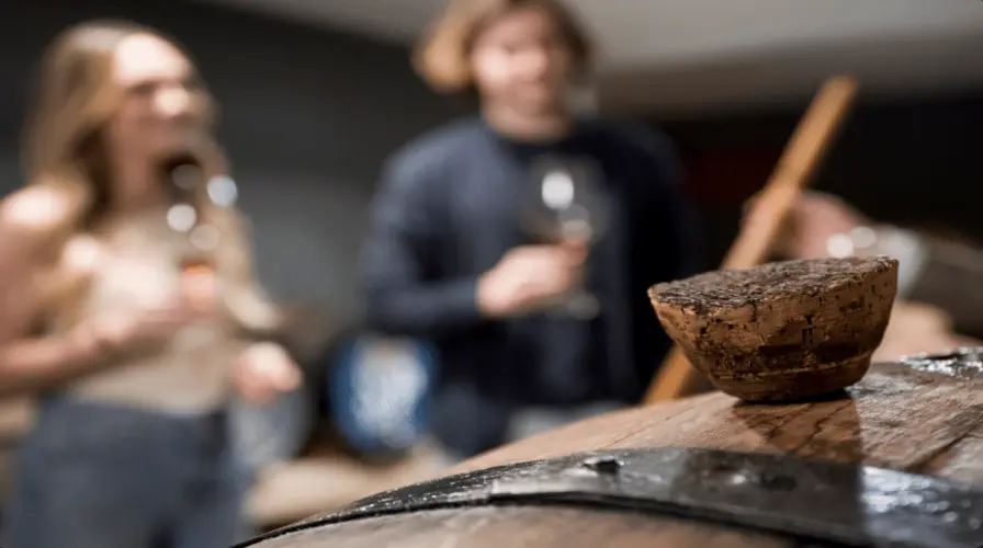 13. Local Rum Tasting at La Romana Distillery Things to Do in La Romana