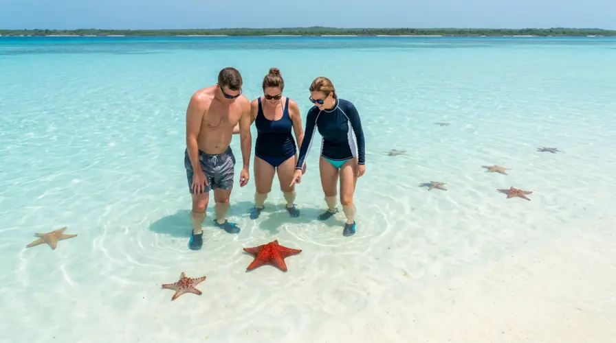 Palmilla’s Natural Pool Waist Deep Water and Wild Starfish Saona Island